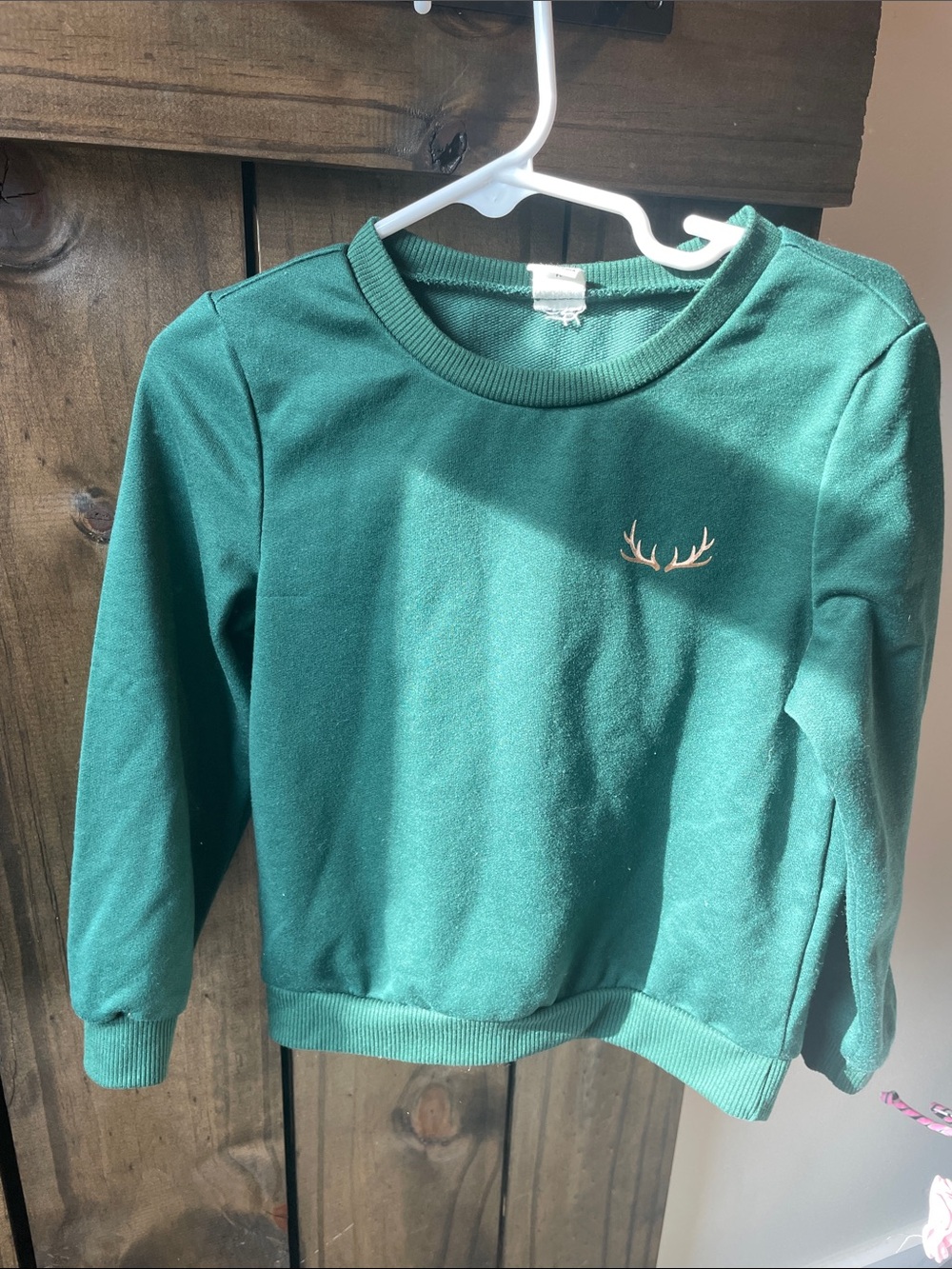 Toddler Green Crewneck Sweater with Subtle Antler Accent